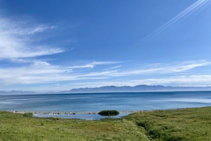 高白鲑鱼餐厅(赛湖月亮湾店)