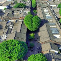 万寿桥·煎包(安泰店) User Photo