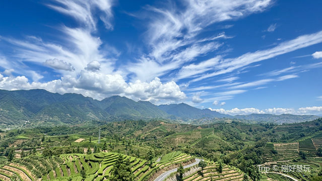 le ling wan mu cha hai