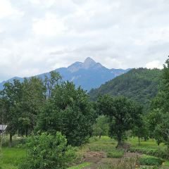 Sage Hall Homestay User Photo