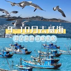 群发饺子(大润发店) User Photo