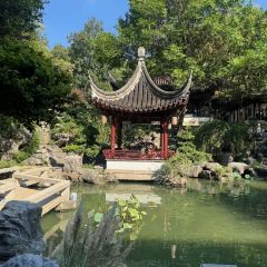 JUBILEE GARDEN User Photo