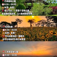 FULL Hainanese Chicken Rice User Photo