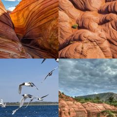 LIANG HUAI YI JUE JI SI LA TANG User Photo