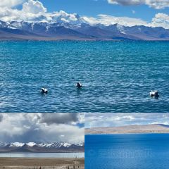 RU YI LIN KA TONG GUO MAO NIU ROU User Photo