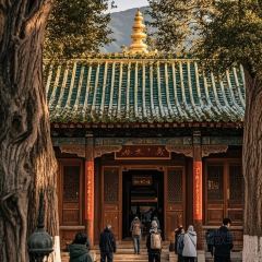 Dongmendoufunao User Photo