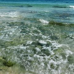 216BeachClub User Photo