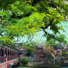 YEU JI XING LONG User Photo