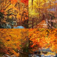 南江黄羊汤锅城 User Photo