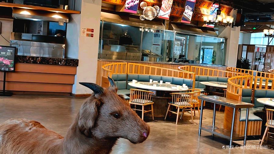 羊扬天下·中餐·羊肉汤·火锅