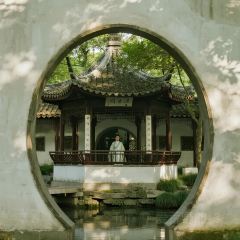 王氏蒸饺(水沟营店) User Photo