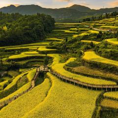 ZHENGLIANG SEAFOOD User Photo