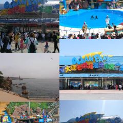 ROYAL OCEAN User Photo