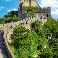 DA WEI ROAST WHOLE LAMB User Photo