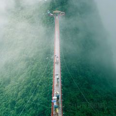 一尺稻田咖啡 User Photo