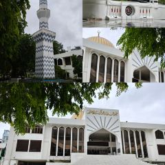 Citron by Lemongrass User Photo