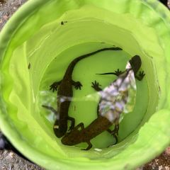 荣村农家乐 User Photo