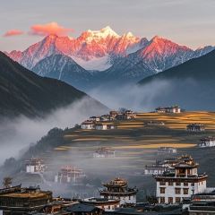 MALAYA TIBETAN RESTAURANT User Photo