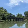 飘逸的鹰