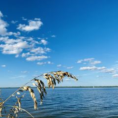 Rusty Pelican - Tampa User Photo