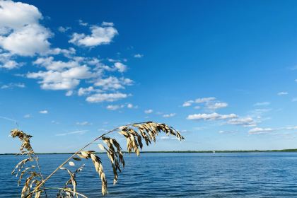 Rusty Pelican - Tampa