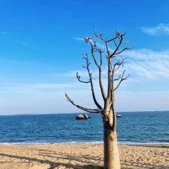 off work在海边·星空帐篷营地 여행 사진