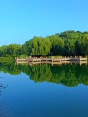Qingzhoushi Shuangbei Shengtai Tiyu Park