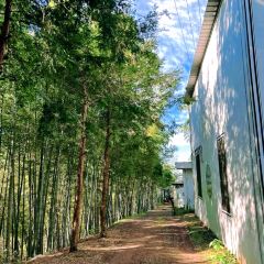 北山淩英手擀麵張用戶圖片