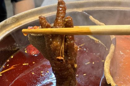 废柴老火锅(府东名城店)