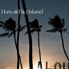 Island Ono Loa Grill User Photo