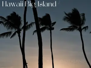 Island Ono Loa Grill