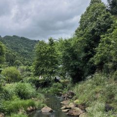 禾场咖啡(三宝店) User Photo