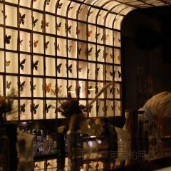 145號U&Lounge Bar張用戶圖片