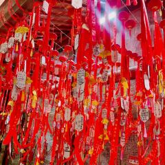发记四川大盆鱼 User Photo