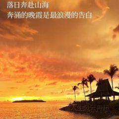 Coco-Joe's 酒吧燒烤餐廳張用戶圖片