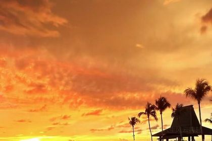 Coco-Joe's Bar & Grill