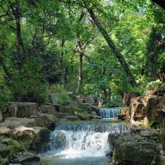 含晖面馆(虞景文华店) User Photo