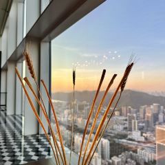 OPUS 388 (Mandarin Oriental, Shenzhen) User Photo