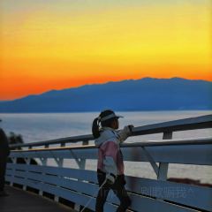 抚仙湖·自在汐岸咖啡餐吧 User Photo