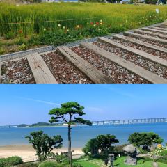 해어름 User Photo