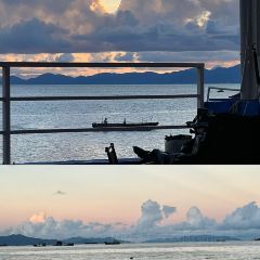 海边有棵树 여행 사진