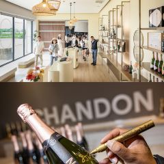 酩悦轩尼诗夏桐酒庄 User Photo