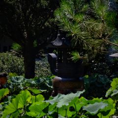 临海小吃老黄炒麻糍(东湖店) User Photo