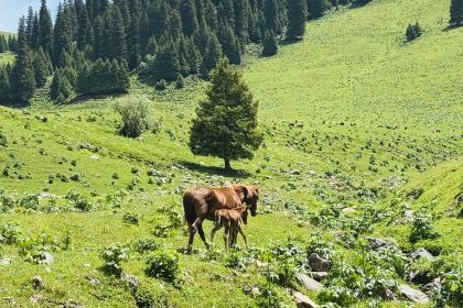 Shuxiangyuan Restaurant