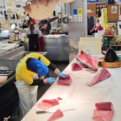 Kaisen sushi Toretore icihba User Photo