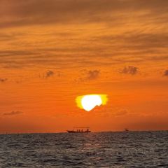Layar Seafood Manyar Kertoarjo User Photo