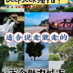 Niccolo Chengdu · The Bar User Photo