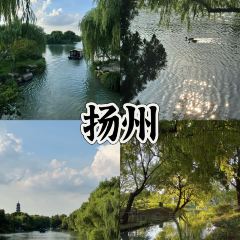 Niccolo Chengdu · The Bar User Photo