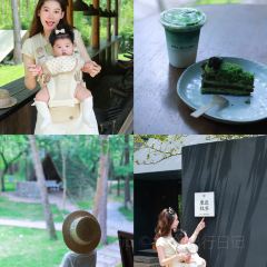 MOJ coffee(楠溪江石柱店) User Photo