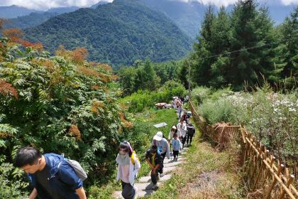 卧龙山中酒寨